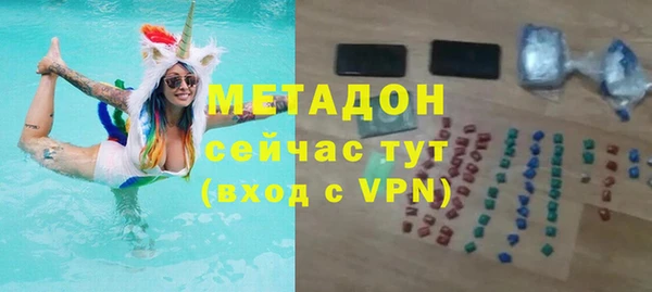индика Бородино