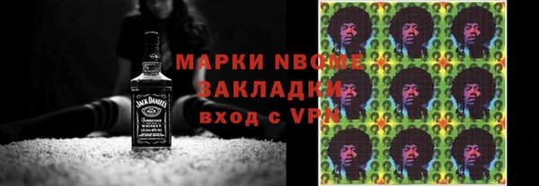индика Бородино