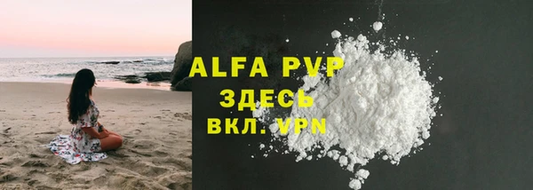 индика Бородино