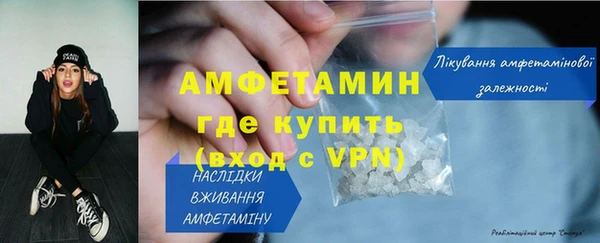индика Бородино