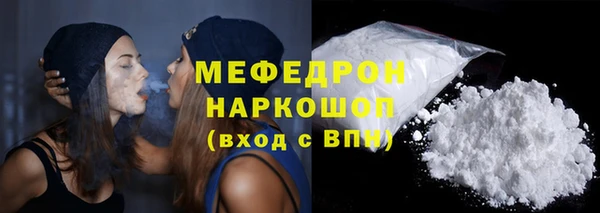 индика Бородино