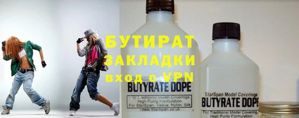 индика Бородино