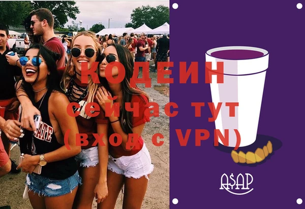 индика Бородино