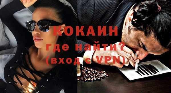 индика Бородино