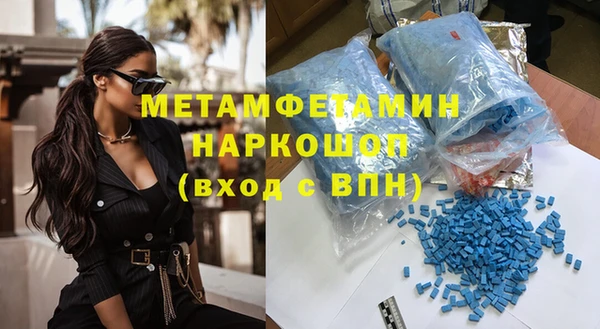 индика Бородино