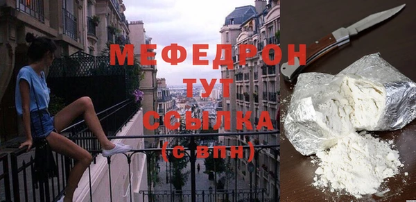 индика Бородино