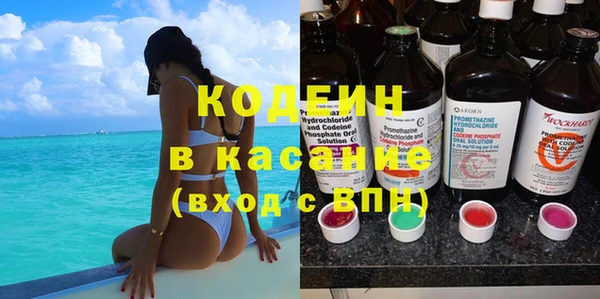 индика Бородино