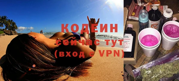 индика Бородино