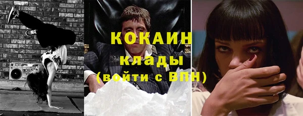 индика Бородино