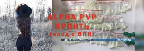 индика Бородино