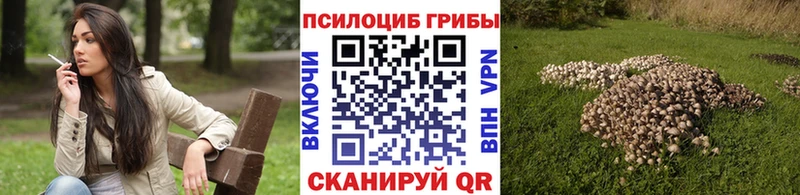 Галлюциногенные грибы Magic Shrooms  Энгельс 